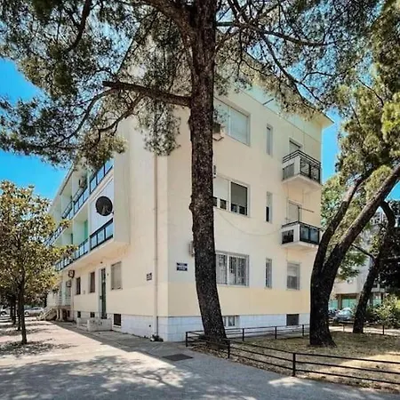 Music-center, In The Center Of *